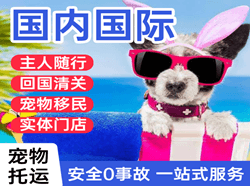 天河航空快递国际宠物托运 【国